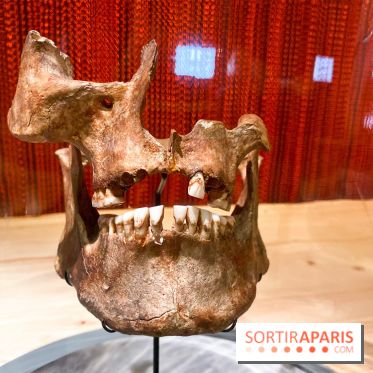 Je mange donc je suis au Musée de l'Homme