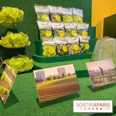 Je mange donc je suis au Musée de l'Homme