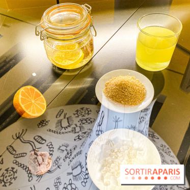 Je mange donc je suis au Musée de l'Homme