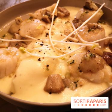 Madame Claude - Restaurant Paris 15ème - Coquilles Saint-Jacques D'Erquy, fricassée de cèpes, mousseline de pomme de terre bien beurrée