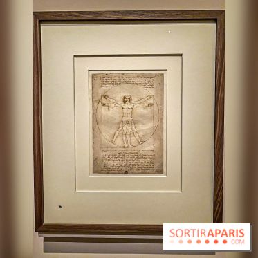 Exposition Léonard de Vinci au Louvre, les photos