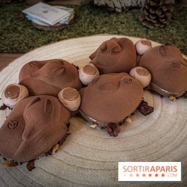 Les Bûches de Noël 2019 de Yann Couvreur