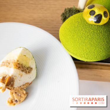 Bûche et Chocolats de Noël 2019 du Trianon Palace