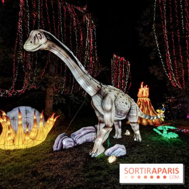 Thoiry Lumières Sauvages 2019 - photos 