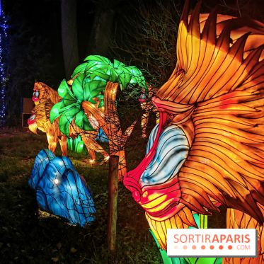 Thoiry Lumières Sauvages 2019 - photos 