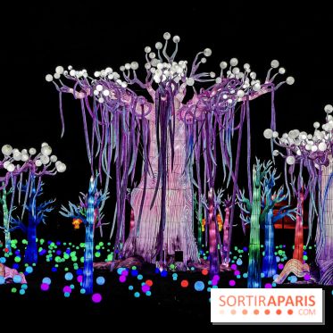 Thoiry Lumières Sauvages 2019 - photos 