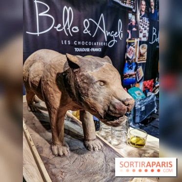 Le Salon du Chocolat 2019, les photos Bello & Angel