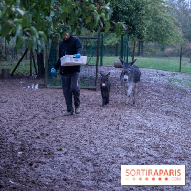 Campanile Val de France : nos photos