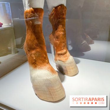 Marche et Démarche au Musée des Arts Décoratifs