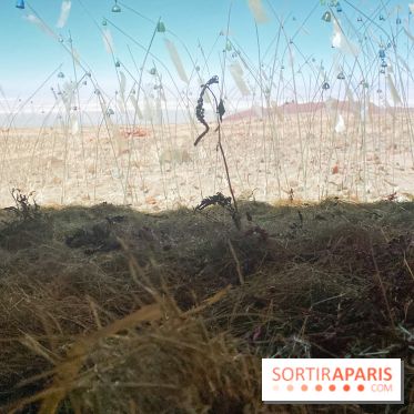 Christian Boltanski, Animitas Chili, 2014