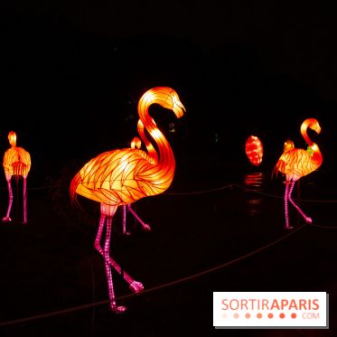 Océan en voie d'illumination : nos photos