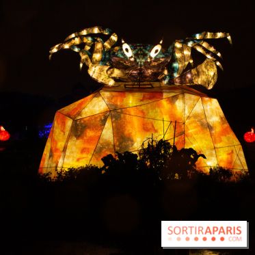 Océan en voie d'illumination : nos photos