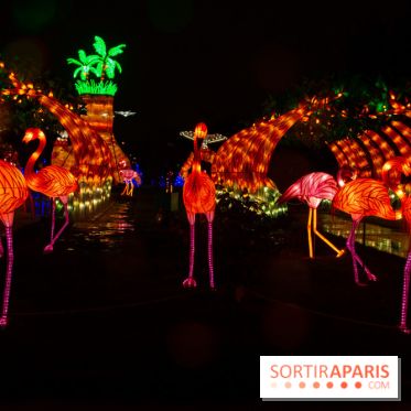 Océan en voie d'illumination : nos photos