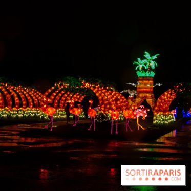 Océan en voie d'illumination : nos photos