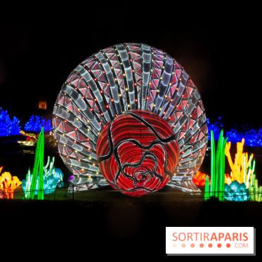 Océan en voie d'illumination : nos photos