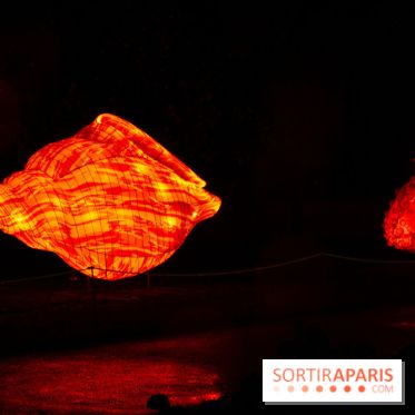 Océan en voie d'illumination : nos photos