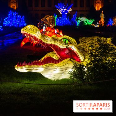 Océan en voie d'illumination : nos photos