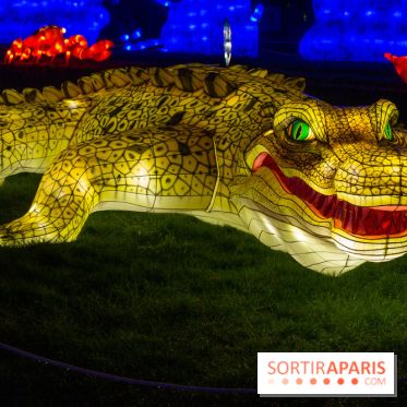 Océan en voie d'illumination : nos photos