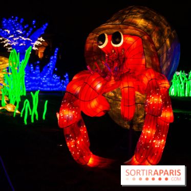 Océan en voie d'illumination : nos photos