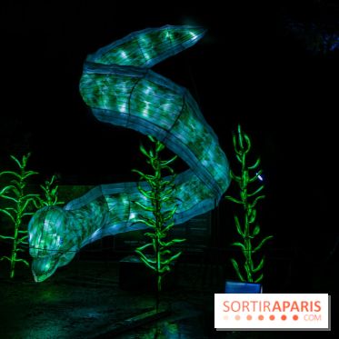 Océan en voie d'illumination : nos photos