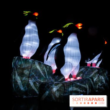 Océan en voie d'illumination : nos photos