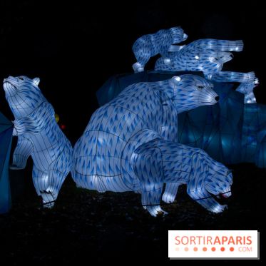 Océan en voie d'illumination : nos photos