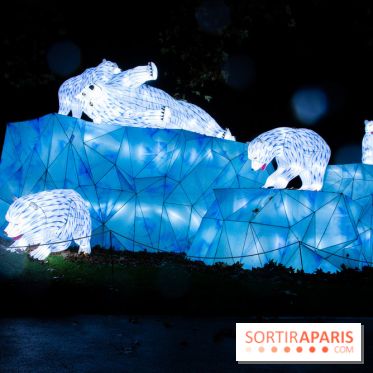 Océan en voie d'illumination : nos photos