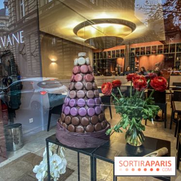 La Café Pavane par Manon Hévin