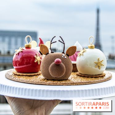 La bûche de Noel de Candy Paradis 2019