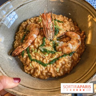 That’s Life, le restaurant signé Jean-Michel Wilmotte