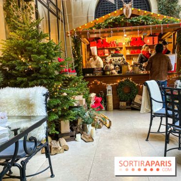 La Patinoire de Noël 2019 du Plaza Athenée