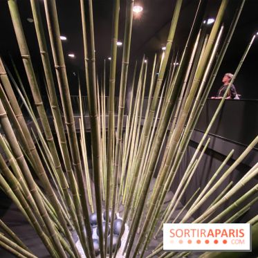 Black Bamboo de Nils-Udo à la Fondation EDF