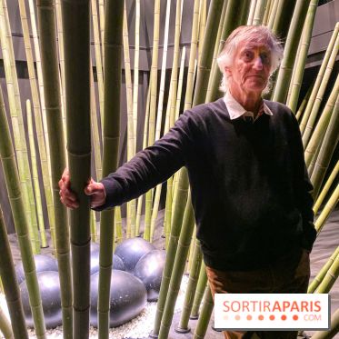 Black Bamboo de Nils-Udo à la Fondation EDF