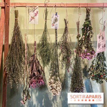 Bergamotte Kinfolk, la nouvelle collection de fleurs séchées naturellement