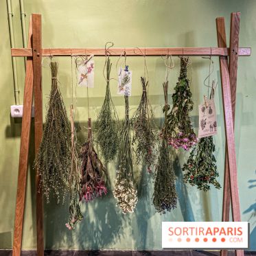 Bergamotte Kinfolk, la nouvelle collection de fleurs séchées naturellement