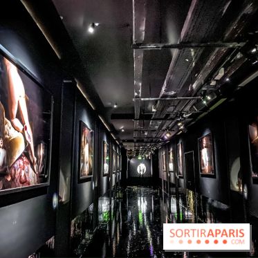 Exposition Christian Louboutin, l’Exhibitionniste au Palais de la Porte Dorée - photos 