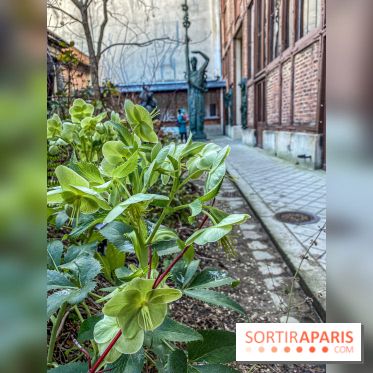 Le Musée Bourdelle et ses jardins