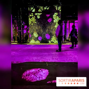 Yves Klein, l’Infini Bleu -  l’album photo