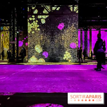 Yves Klein, l’Infini Bleu -  l’album photo