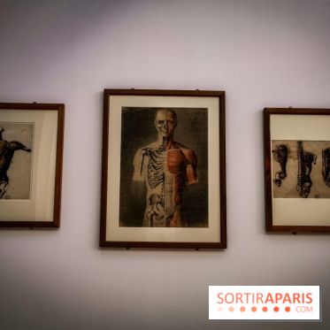 Le Cabaret du Néant, l'exposition au Château de Rentilly