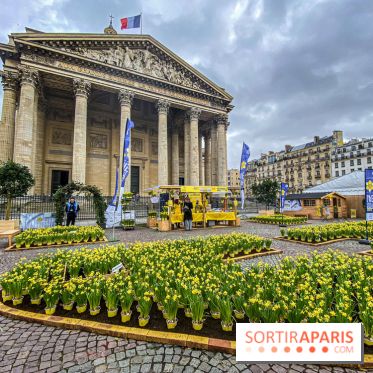 Une Jonquille pour Curie au Panthéon
