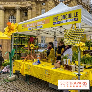 Une Jonquille pour Curie au Panthéon