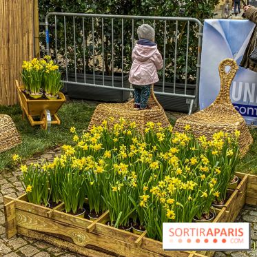 Une Jonquille pour Curie au Panthéon