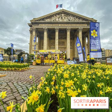 Une Jonquille pour Curie au Panthéon