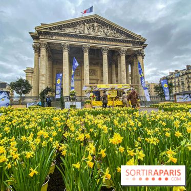Une Jonquille pour Curie au Panthéon