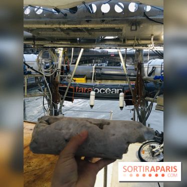 Goélette Tara Mars 2020