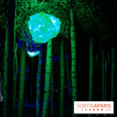 Mad Dimension, le nouveau musée immersif 100 % instagrammable : nos photos