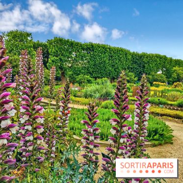 Visuel Paris Jardin des Plantes - Muséum MNHN