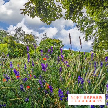 Visuel Paris Jardin des Plantes - Muséum MNHN
