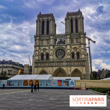 Notre Dame, démontage de l'échafaudage endommagé 
